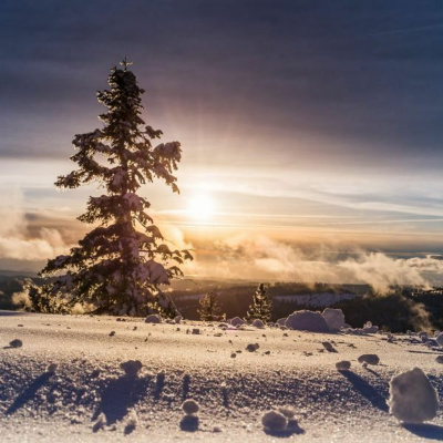 Ruach Breath Of Life