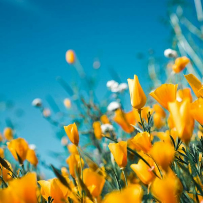 Ruach Breath Of Life