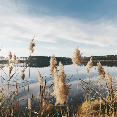 Ruach Breath Of Life