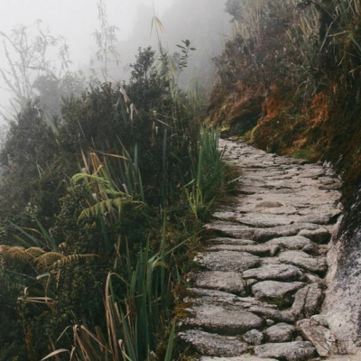 Ruach Breath Of Life