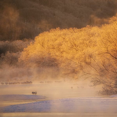 Ruach Breath Of Life