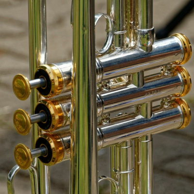 Ruach Breath Of Life