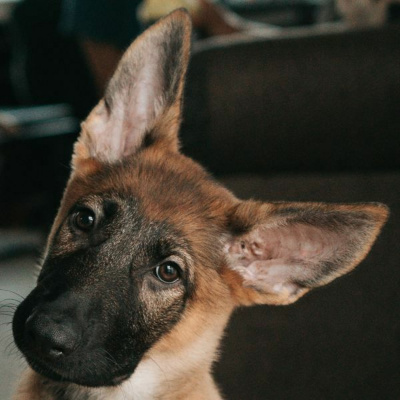 Ruach Breath Of Life