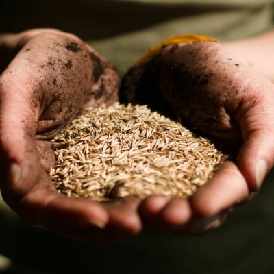 Ruach Breath Of Life