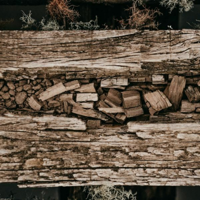 Ruach Breath Of Life