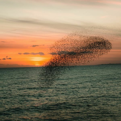 Ruach Breath Of Life