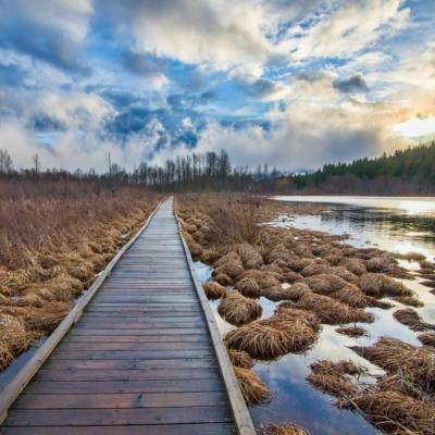 Ruach Breath Of Life