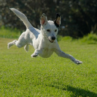 Ruach Breath Of Life