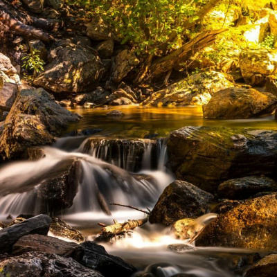 Ruach Breath Of Life