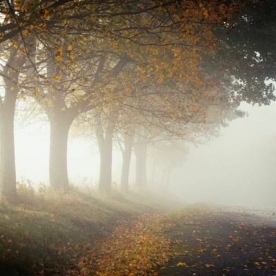 Ruach Breath Of Life