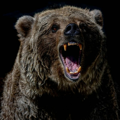 Ruach Breath Of Life