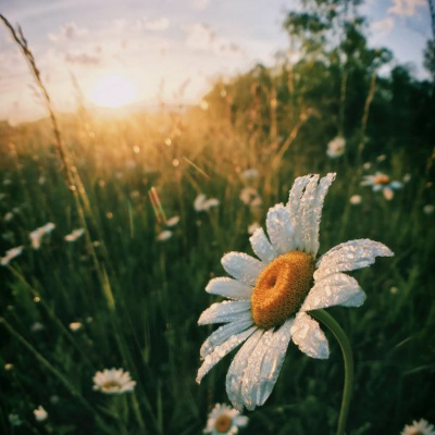 Ruach Breath Of Life