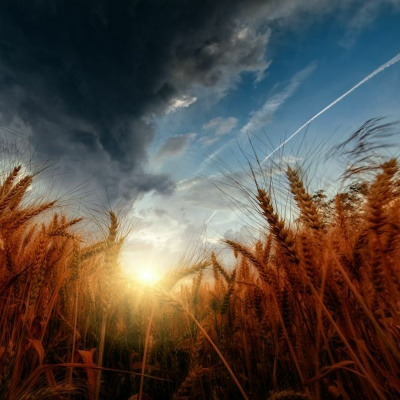 Ruach Breath Of Life