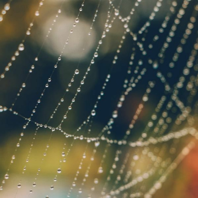 Ruach Breath Of Life