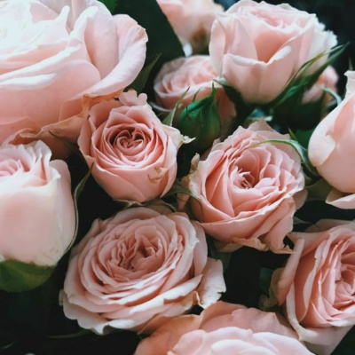 Ruach Breath Of Life