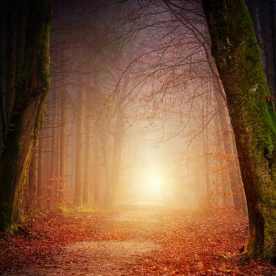 Ruach Breath Of Life