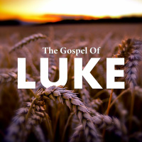 Luke 15:11-31| The Journey of the Lost Son | Wilson