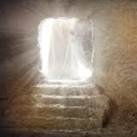 Fresh Bread 3: Your Kingdom Come 30 (OWR 2 – The Resurrection, 3 – Origin, 4 – No secret)