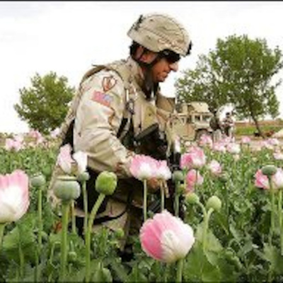 Fresh Bread: Your Kingdom Come (1-18) - By Raymond Mccullough