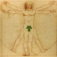 Baptist Catechism Class, Week 16 (2/3/2019)