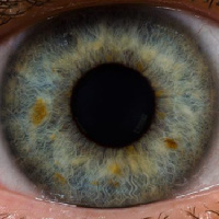 Hebrews 12:1-3, Eye on the Ball