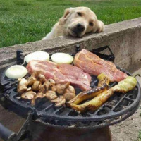 Ephesians 4:25-32, “What Are You Feeding?” 