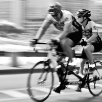 Esther 9:11-19 | Momentum