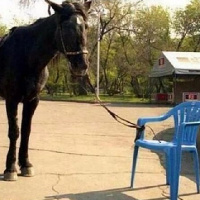 Romans 8:1-6, Shame, Shame (9/29/2019)