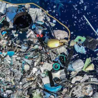 John 13:1-28, “Disposable” 