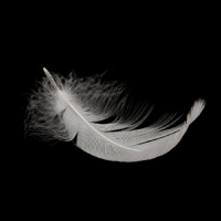 Baptist Catechism, Week 68 | Upright, Blameless, and Sinful