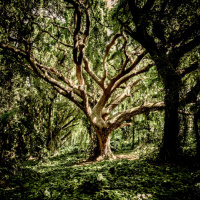 Baptist Catechism Class, Week 18 (2/17/2019)