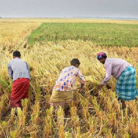 Acts 18:18-28, Workers for the Harvest Field (8/11/2019)