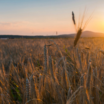 Rev. Zachary Bartels Sermon Podcast