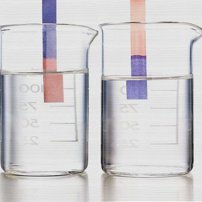 Rev. Zachary Bartels Sermon Podcast