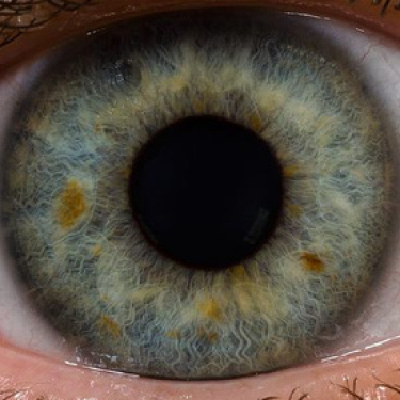 Rev. Zachary Bartels Sermon Podcast