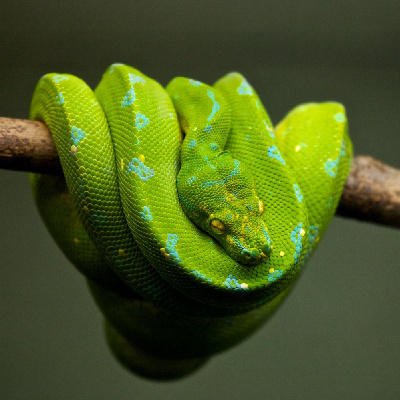 Rev. Zachary Bartels Sermon Podcast