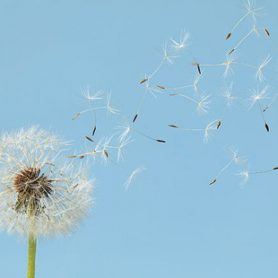 Rev. Zachary Bartels Sermon Podcast