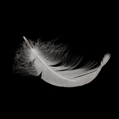 Rev. Zachary Bartels Sermon Podcast