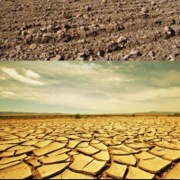 The Eagle, Field, and Famine Vision 03