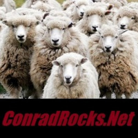 Throwing Rocks at Sheep #CWC