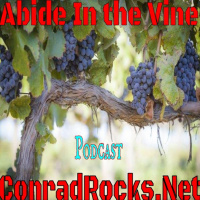 Abiding in The Vine