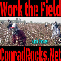 Work the Field