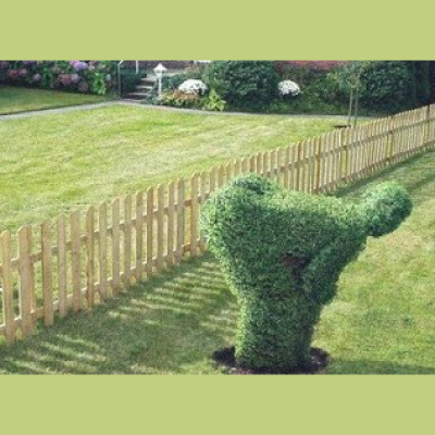 Loa Recon With The Good Vibe Coach