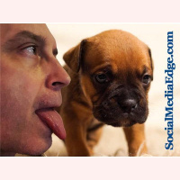 Why Is This Man Licking Puppies?