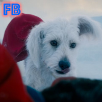 Is it SUPERMAN or is it Cake? (Funnybooks Comic Discussion Podcast)