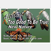 Almost Too Good to be True: Part 4 - New Nature