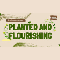 Planted and Flourishing