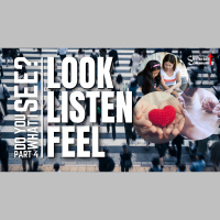 Do You See What I See (Look, Listen, Feel)