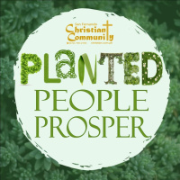 Planted People Prosper