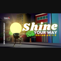 Shine Your Way